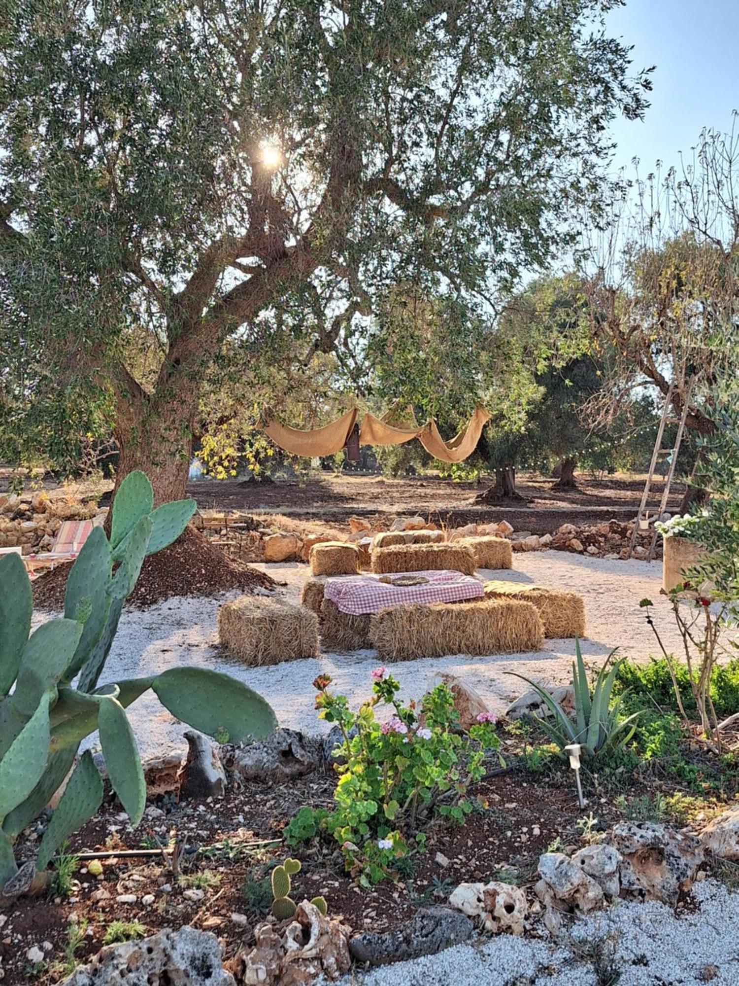 Residenza Anima Mediterranea Francavilla Fontana Exteriör bild